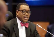 Corruption not an African problem- Adesina