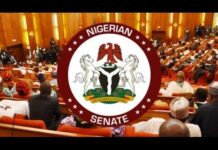 Senate Rejects NNPCL’s Defence Over Missing N210 Trillion, Demands Ojulari’s Appearance
