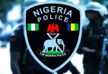 Ondo Police Uncover Baby Factory, Nab Suspect Selling Babies for ₦600,000