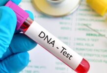 1 in 4 Nigerian Men Who Take DNA Tests Not Biological Fathers — 2025 Smart DNA Report