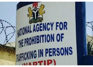 NAPTIP Raids Onitsha Hotel, Rescues 17 Trafficking Victims, Arrests Six Suspects