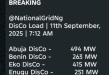 GenCos Restore Supply as Nigeria Recovers from Latest Grid Failure