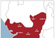 Woman Lynched in Delta for Alleged Child Theft Attempt