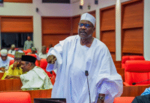 Ndume Calls for Part-Time Legislature to Cut Governance Costs