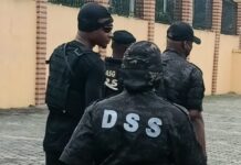 DSS Sacks 115 Officers for Misconduct