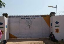 Niger School Abductions: 50 Pupils Regain Freedom, 253 Still Held — CAN