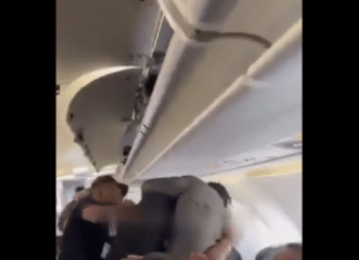 NCAA Moves to Sanction Verydarkman, Mr Jollof Over In-Flight Altercation