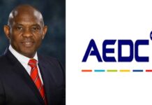 Tony Elumelu’s AEDC Fires 800 Workers