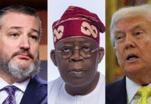 Ted Cruz Says Tinubu ‘Very Unhappy’ Over U.S. Message to Nigeria for Christian Killings