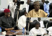 Tinubu Appoints Okowa, others as Coordinators of Renewed Hope Initiative