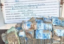 Police Arrest Alleged Notorious Auto-Theft Syndicate, Seize Cash and Cars in Abuja