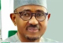 Ahmed, Komolafe Step Down as Tinubu Nominates New Chiefs for NUPRC, NMDPRA