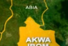 Akwa Ibom Legislators reject motion to ban consumption of Dog meat