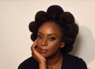 Chimamanda Adichie Recounts How Negligence at Lagos Hospital Killed her Son