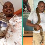 Expert Gives Tips on How to Detect Snakes in the House