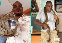 Expert Gives Tips on How to Detect Snakes in the House