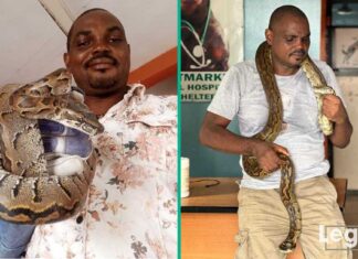 Expert Gives Tips on How to Detect Snakes in the House