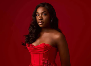 Lady dies from snake bite in Abuja (Video)