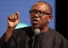 ‘Hunger Has Worsened Under Your Watch’: Peter Obi Slams Tinubu Over Comments To Catholic Bishops