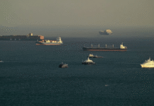 UAE: Weaponizing Hormuz is Economic Terrorism Against the World