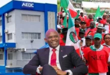 Crisis deepens at AEDC under Elumelu as 900 workers protest restructuring