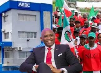 Crisis deepens at AEDC under Elumelu as 900 workers protest restructuring