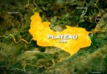 Terror Groups Plot Abduction of Health Workers in Plateau for Forced Treatment