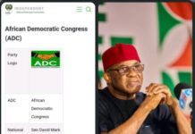 SPOTTED: INEC Lists David Mark’s Leadership on Portal