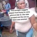 Women Caught Grinding Maggot-Infested Pepper at Lagos Market for Street food (Video)