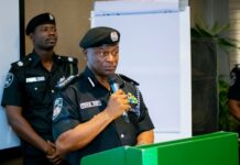 Cars without Number Plates, Concealed Plates Will Face the Law— Police IGP