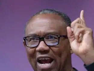Tinubu Has Not Called Seyi Makinde Over School Children Abduction— Peter Obi