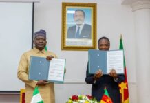 Nigeria, Cameroon Partner on Intelligence Sharing, Joint Military Training