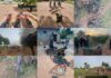 Troops Neutralize Terrorists, Rescue Kidnap Victims in Sokoto and Katsina