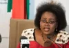 Xenophobia: SA Minister Laments Backlash, Says Artists Abroad Losing Gigs