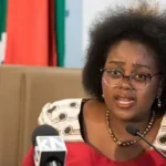 Xenophobia: SA Minister Laments Backlash, Says Artists Abroad Losing Gigs
