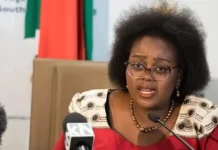 Xenophobia: SA Minister Laments Backlash, Says Artists Abroad Losing Gigs