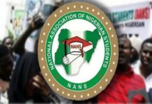 NANS Gives South African Businesses Four-Day Ultimatum to Exit Nigeria Over Xenophobia