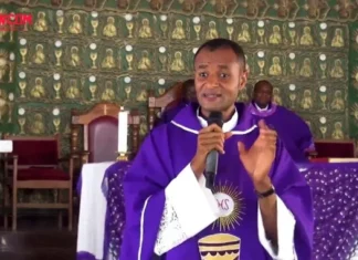 Cardinal Onaiyekan: ‘Onanuga, Bwala Behaving like Attack Dogs’— Catholic Priest