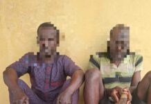 Police Arrest Two Robbery Suspects, Recover Three Pistols, 18 Cartridges in Ogun