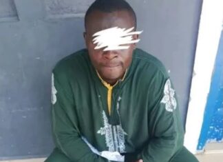 Police nab suspected drug dealer with 64 bottles of ‘Suck and Die’ in Bauchi