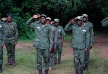 EXCLUSIVE: Forest Guards Abandon Posts, Decry Unpaid Salaries, Hunger, Poor Weapons In Kwara, Enugu