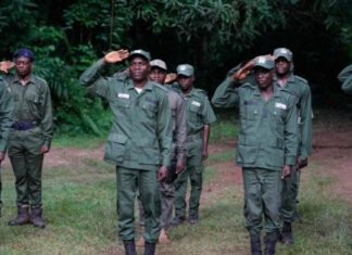 EXCLUSIVE: Forest Guards Abandon Posts, Decry Unpaid Salaries, Hunger, Poor Weapons In Kwara, Enugu