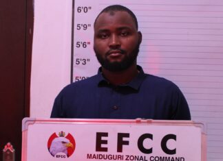 EFCC arraigns man over alleged N186m Fraud in Maiduguri