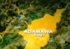27-Year-Old Adamawa Man Arraigned Over Alleged Theft of 27 Underwear