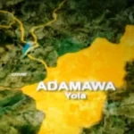 27-Year-Old Adamawa Man Arraigned Over Alleged Theft of 27 Underwear