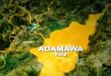 27-Year-Old Adamawa Man Arraigned Over Alleged Theft of 27 Underwear