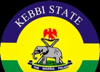Police, Military Raid Hideouts in Kebbi Forest, Kill Terrorists, Recover Rifles