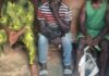 NSCDC Nabs Three Over Vandalism, Theft of Public Property in Anambra State