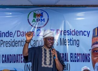 APM Can Reset Nigeria In Four Years— Seyi Makinde