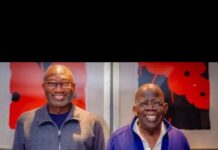 Otedola Endorses Tinubu’s Reforms At Private Paris Dinner